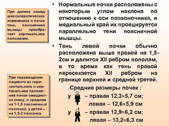 При далеко зашедших склеротических изменениях в почке тень поясничной мышцы приобретает вертикальное положение. При