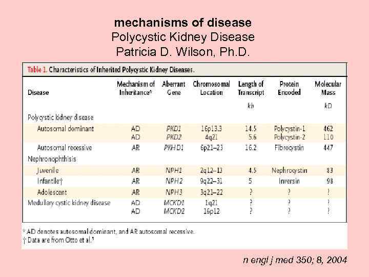 mechanisms of disease Polycystic Kidney Disease Patricia D. Wilson, Ph. D. n engl j
