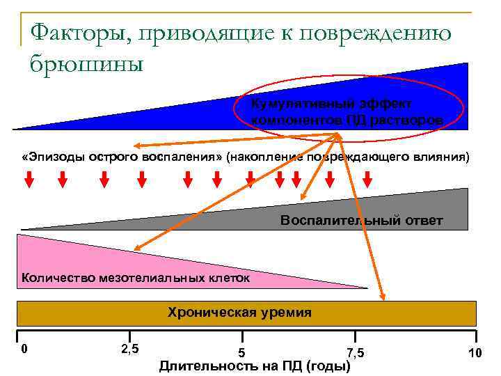 Факторы, приводящие к повреждению брюшины Кумулятивный эффект компонентов ПД растворов «Эпизоды острого воспаления» (накопление