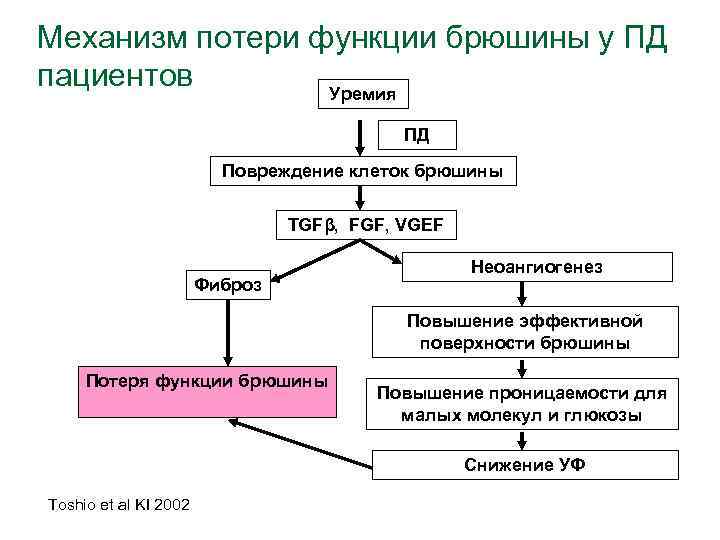 Механизм потери функции брюшины у ПД пациентов Уремия ПД Повреждение клеток брюшины TGFβ, FGF,