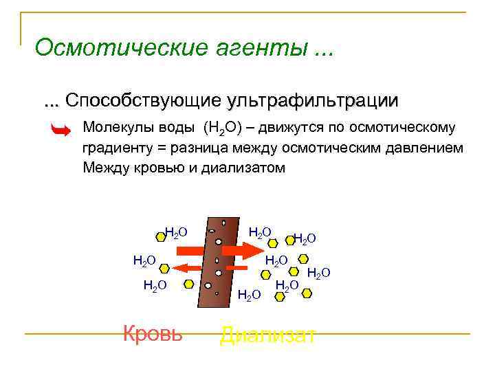 Осмотические агенты. . . Способствующие ультрафильтрации Молекулы воды (H 2 O) – движутся по