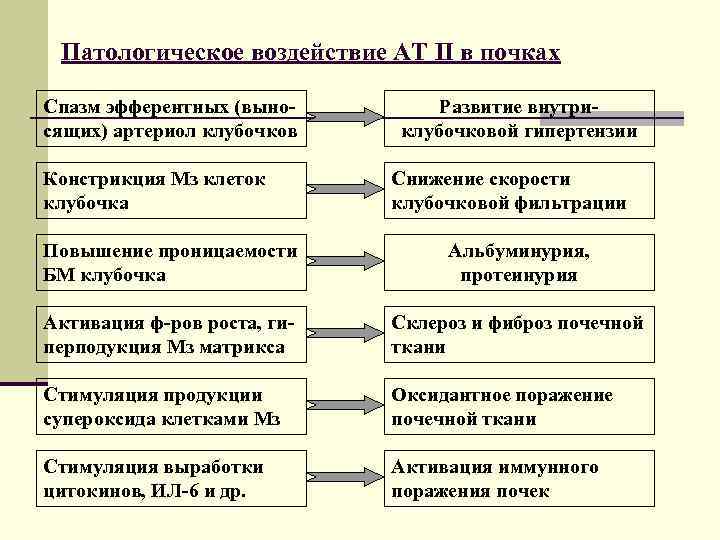 Патологическое воздействие АТ II в почках Спазм эфферентных (выносящих) артериол клубочков Констрикция Мз клеток