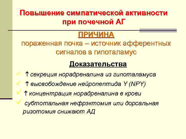 Повышение симпатической активности при почечной АГ ПРИЧИНА пораженная почка – источник афферентных сигналов в