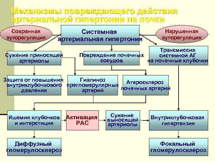 Механизмы повреждающего действия артериальной гипертонии на почки Сохранная ауторегуляция Системная артериальная гипертония Сужение приносящей
