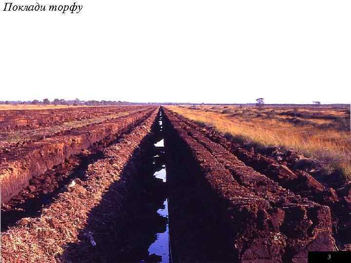 Поклади торфу 3 