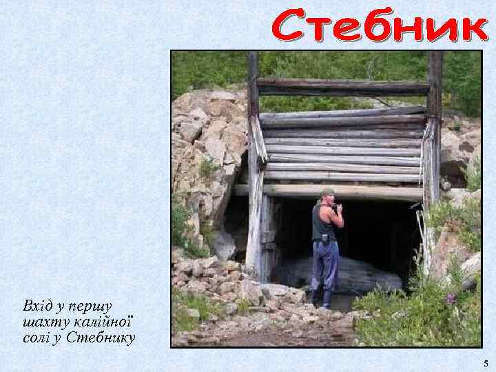 Вхід у першу шахту калійної солі у Стебнику 5 