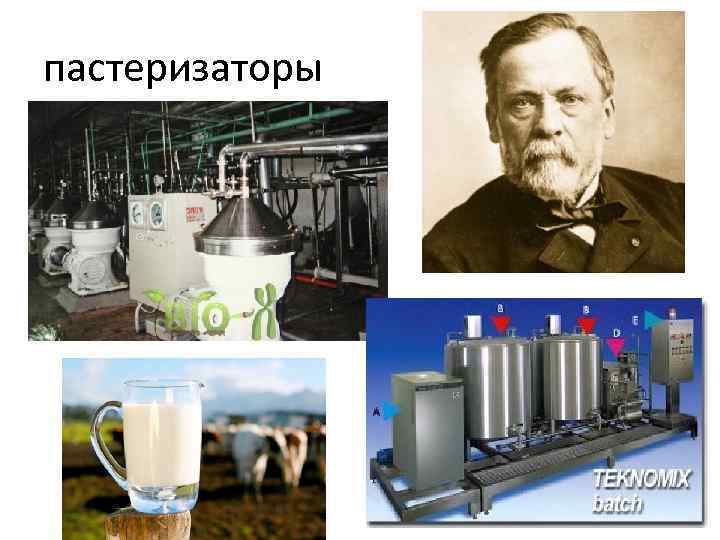 пастеризаторы 