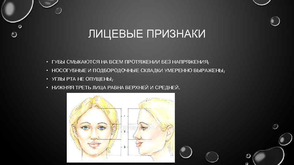 Определение центральной окклюзии при частичном отсутствии зубов презентация