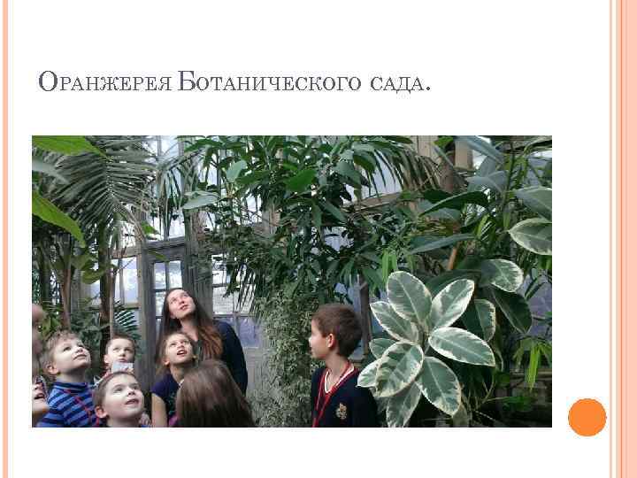 ОРАНЖЕРЕЯ БОТАНИЧЕСКОГО САДА. 
