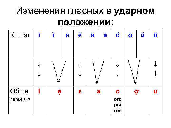 Изменения гласных в ударном положении: Кл. лат ī ĭ ē ↓ ↓ Обще ром.