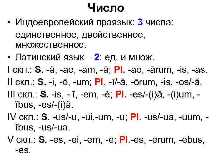 Множественная латынь. Множественное число существительных в латинском языке. Множественное число латынь. Множественное число в латинском языке. Латынь множественное число существительных.