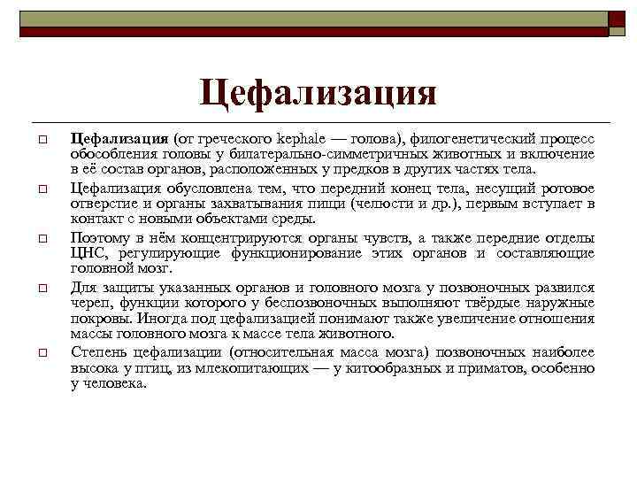 Цефализация o o o Цефализация (от греческого kephale — голова), филогенетический процесс обособления головы