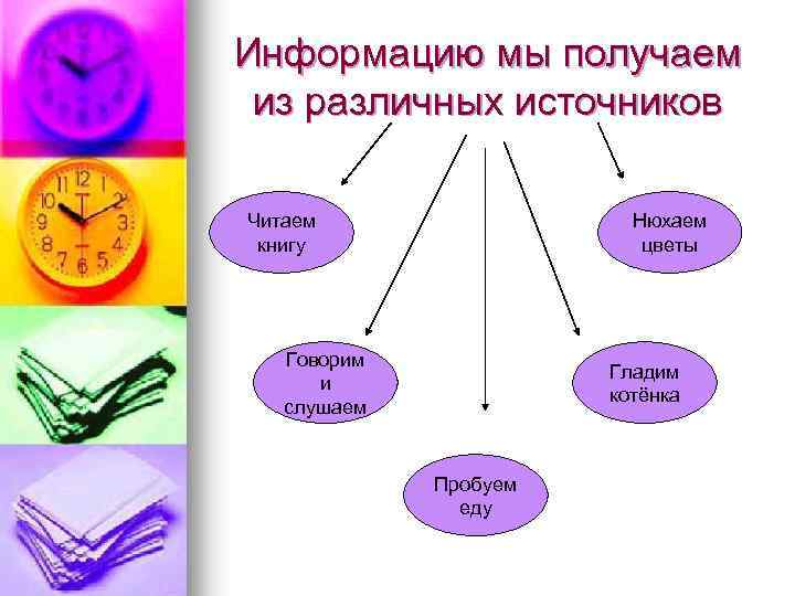 Информацию мы получаем из различных источников Читаем книгу Нюхаем цветы Говорим и слушаем Гладим