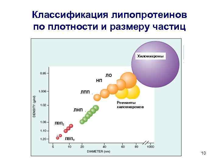 Классификация липопротеинов по плотности и размеру частиц Хиломикроны ЛО НП ЛПП ЛНП Ремнанты хиломикронов