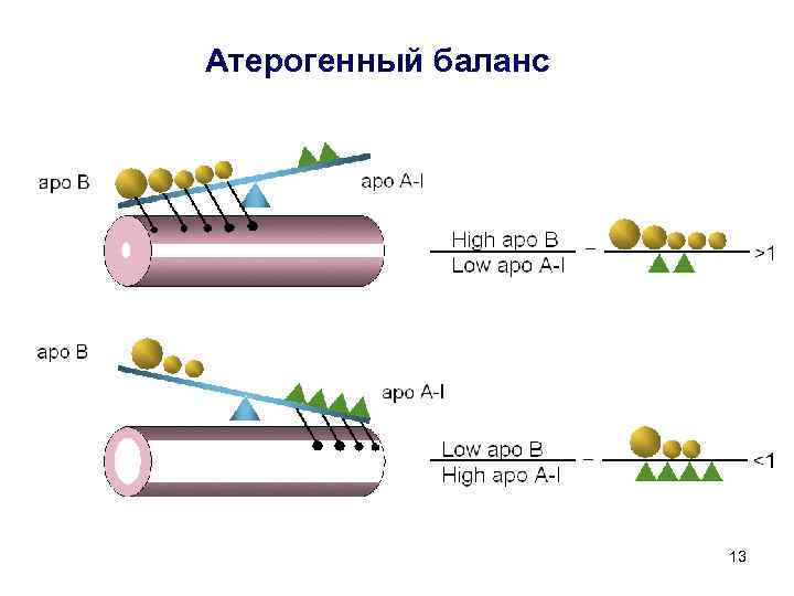 Атерогенный баланс 13 