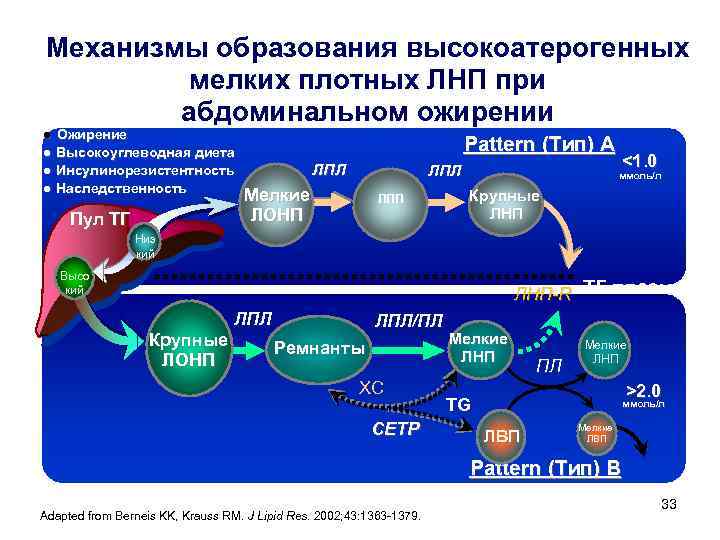 Механизмы образования высокоатерогенных мелких плотных ЛНП при абдоминальном ожирении l Ожирение l l l
