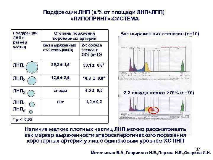 Подфракции ЛНП (в % от площади ЛНП+ЛПП) «ЛИПОПРИНТ» -СИСТЕМА Подфракции ЛНП и размер частиц