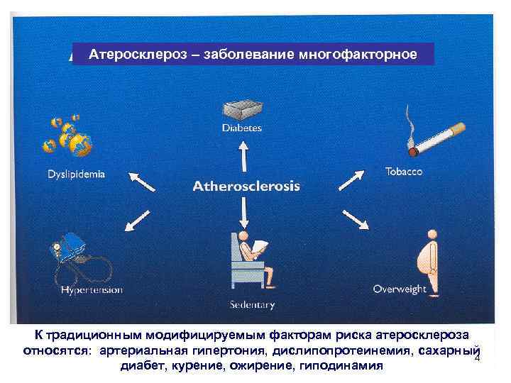 Атеросклероз – заболевание многофакторное К традиционным модифицируемым факторам риска атеросклероза относятся: артериальная гипертония, дислипопротеинемия,