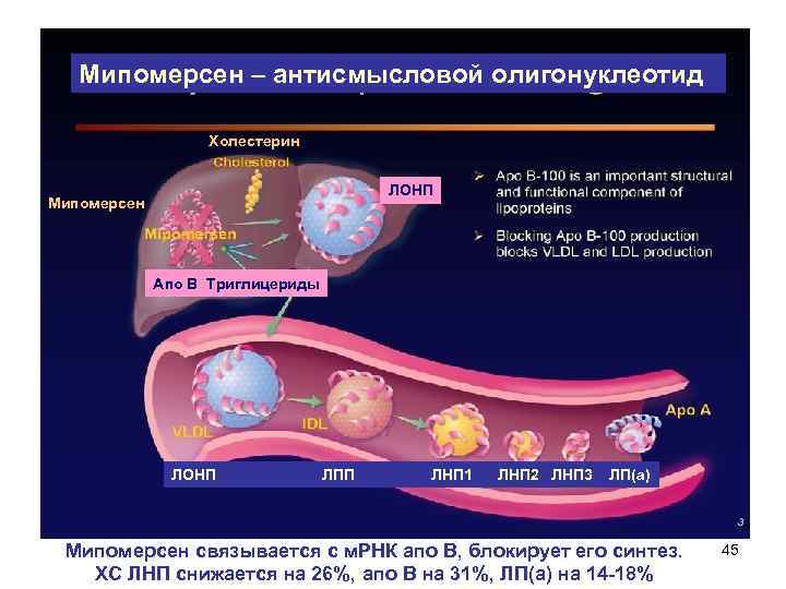 Холестерин нарушение липидного обмена. Мипомерсен механизм действия. Антисмысловые олигонуклеотиды. Антисмысловые РНК. Антисенс РНК У бактерий.