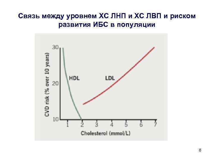 Связь между уровнем ХС ЛНП и ХС ЛВП и риском развития ИБС в популяции