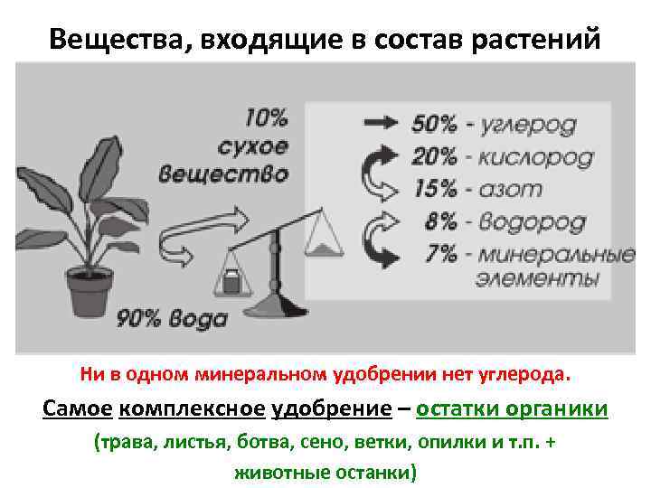 Вещества, входящие в состав растений Ни в одном минеральном удобрении нет углерода. Самое комплексное