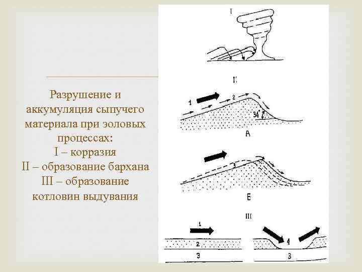 Ветер рельеф. Геологическая деятельность ветра эоловые процессы. Аккумулятивная деятельность ветра Геология. Геологическая деятельность эоловая аккумуляция. Эоловые отложения схема.