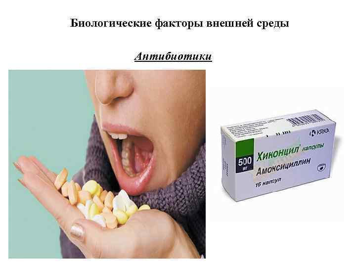 Биологические факторы внешней среды Антибиотики 