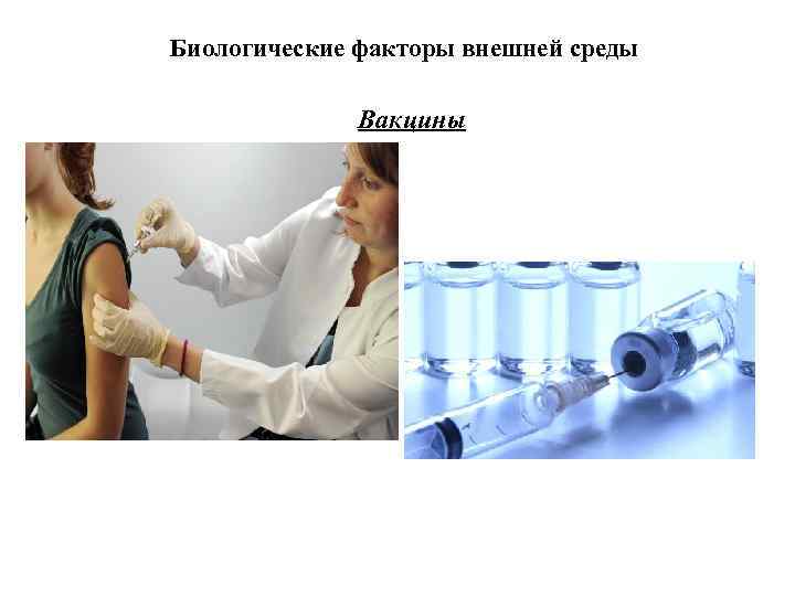 Биологические факторы внешней среды Вакцины 