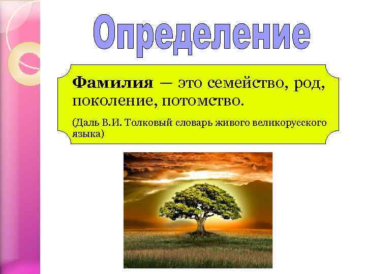 Фамилия — это семейство, род, поколение, потомство. (Даль В. И. Толковый словарь живого великорусского