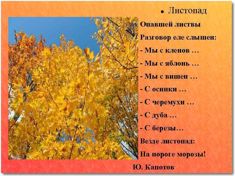 Разговор о листьях. Листопад опавшей листвы разговор еле слышен. Опавшей листвы разговор еле слышен мы с Кленов. Стих опавшей листвы разговор еле слышен. Стих осенней листвы разговор еле слышен.