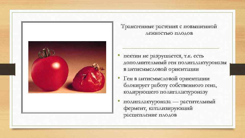 Трансгенные растения с повышенной лежкостью плодов • пектин не разрушается, т. к. есть дополнительный