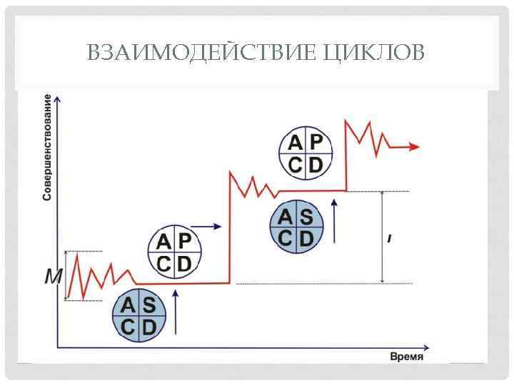 ВЗАИМОДЕЙСТВИЕ ЦИКЛОВ 