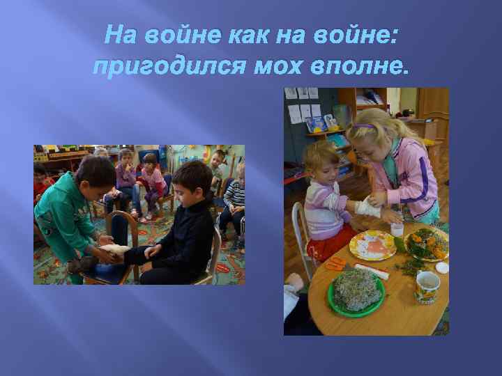 На войне как на войне: пригодился мох вполне. 