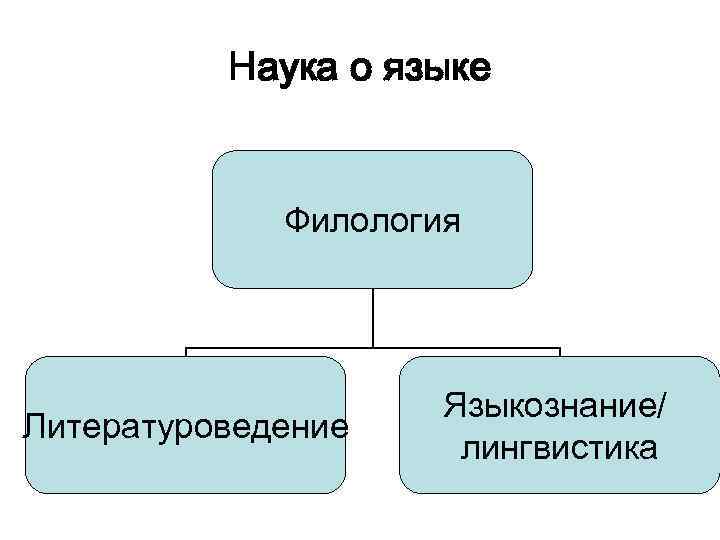 Наука о языке Филология Литературоведение Языкознание/ лингвистика 