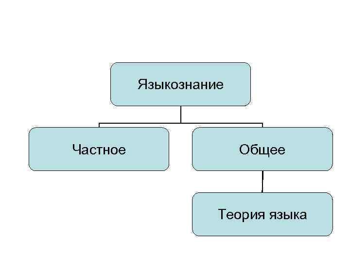 Языкознание Частное Общее Теория языка 