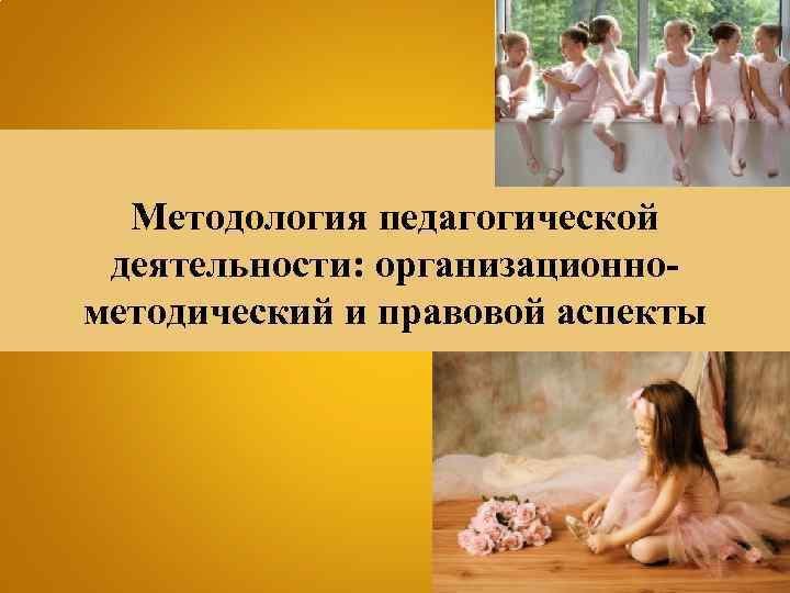 Методология педагогической деятельности: организационнометодический и правовой аспекты 