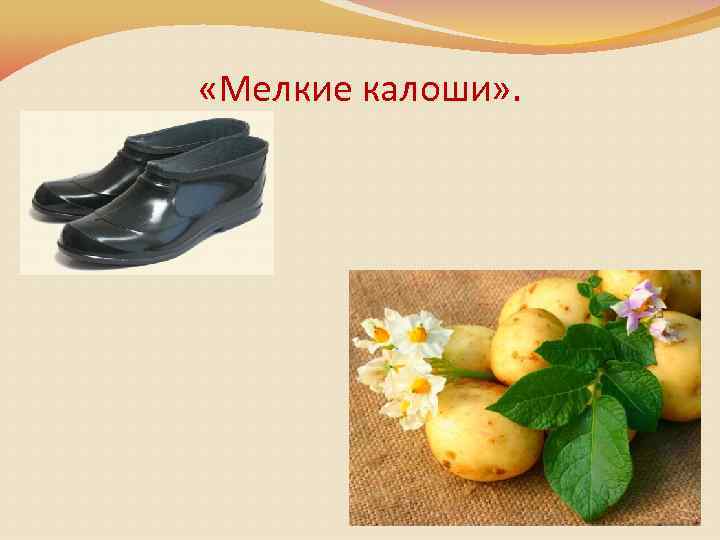  «Мелкие калоши» . 