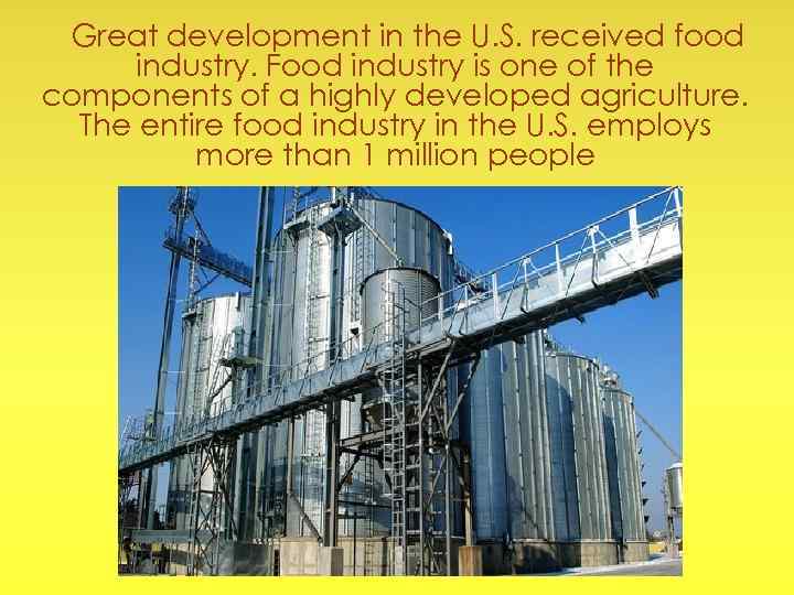 food-industry-of-the-usa-made-by-nika