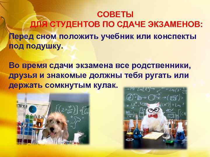 Презентация студента. Международный день студента интересные факты. Это интересно для студентов. Поздравление с новым годом студенту перед экзаменом. Топ 10 фактов о дне студента.