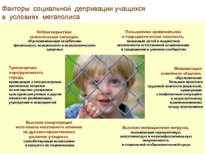 Факторы социальной депривации учащихся в условиях мегаполиса Неблагоприятная экологическая ситуация, Повышенная криминальная и террористическая