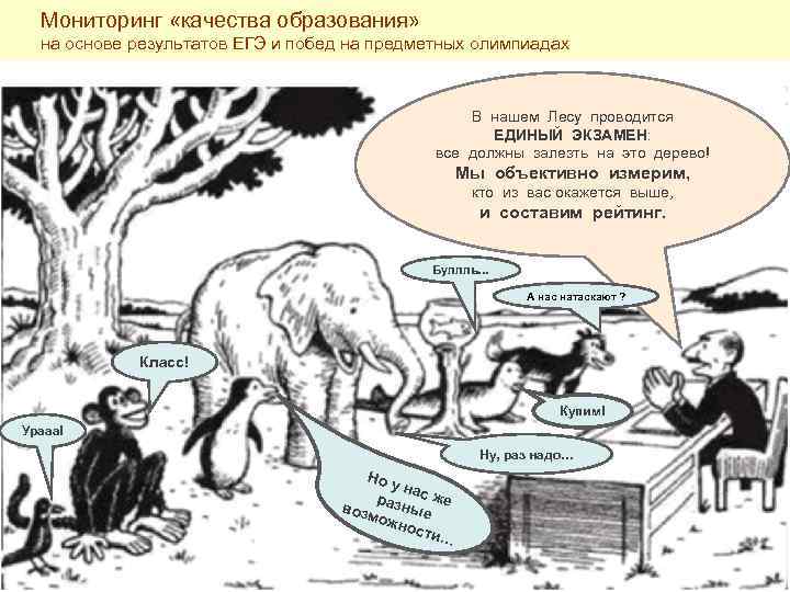 Образование животных. Задание залезть на дерево. Экзамен залезть на дерево. Экзамену животных залезть на дерево. Образование залезть на дерево.