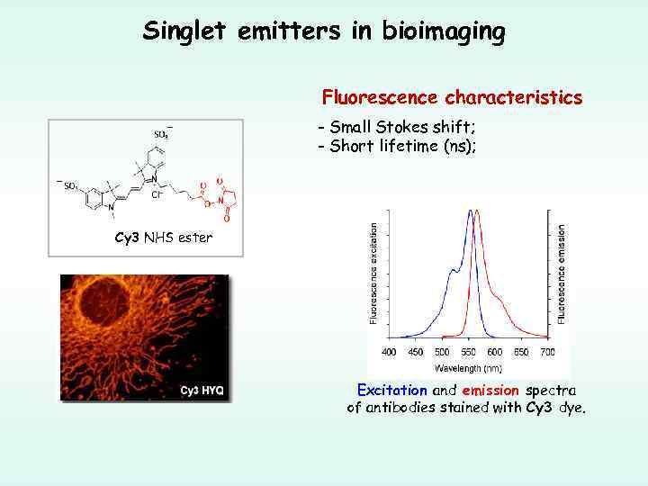Singlet emitters in bioimaging Fluorescence characteristics - Small Stokes shift; - Short lifetime (ns);