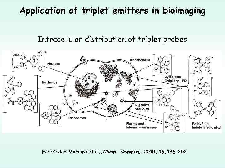 Application of triplet emitters in bioimaging Intracellular distribution of triplet probes Fernández-Moreira et al.