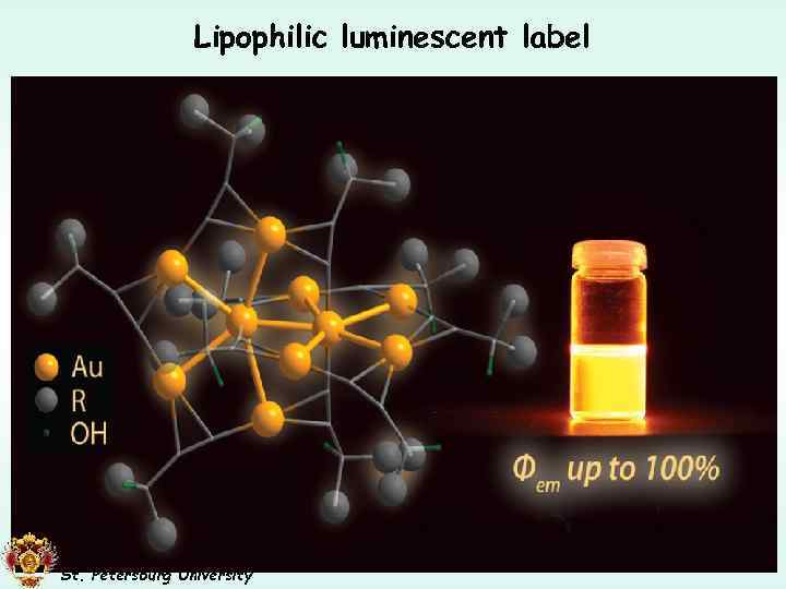 Lipophilic luminescent label Subcutaneous Adipose tissue (pigeon) Small Intestine Wall (pigeon) Adipose tissue (fat