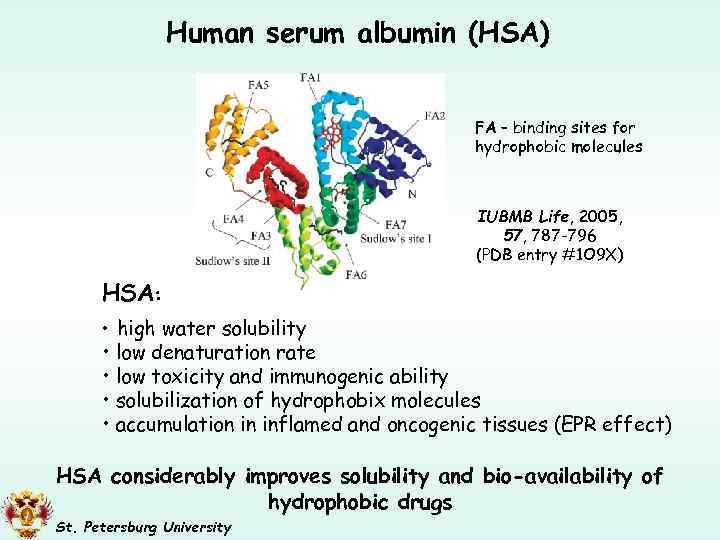 Human serum albumin (HSA) FA – binding sites for hydrophobic molecules IUBMB Life, 2005,