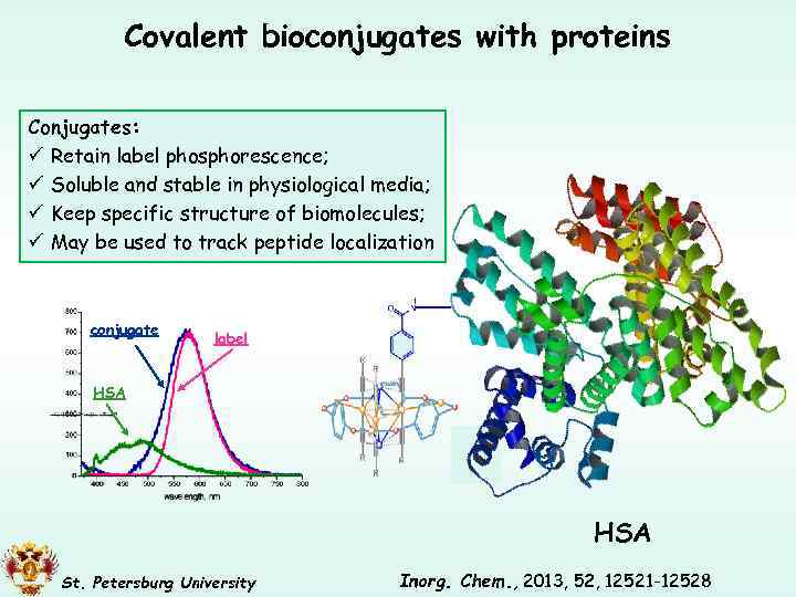 Covalent bioconjugates with proteins Conjugates: ü Retain label phosphorescence; ü Soluble and stable in