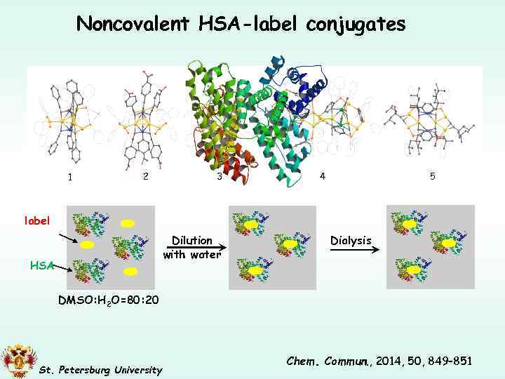Noncovalent HSA-label conjugates 2 1 label 3 4 5 ЧСА Dilution with water HSA