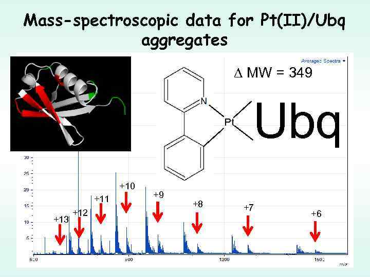 Mass-spectroscopic data for Pt(II)/Ubq aggregates MW = 349 Pt +10 +11 +13 +12 +9