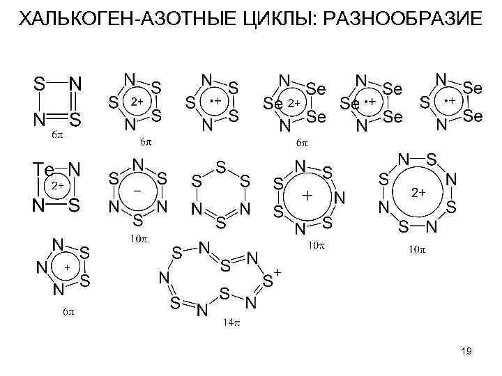 ХАЛЬКОГЕН-АЗОТНЫЕ ЦИКЛЫ: РАЗНООБРАЗИЕ 19 