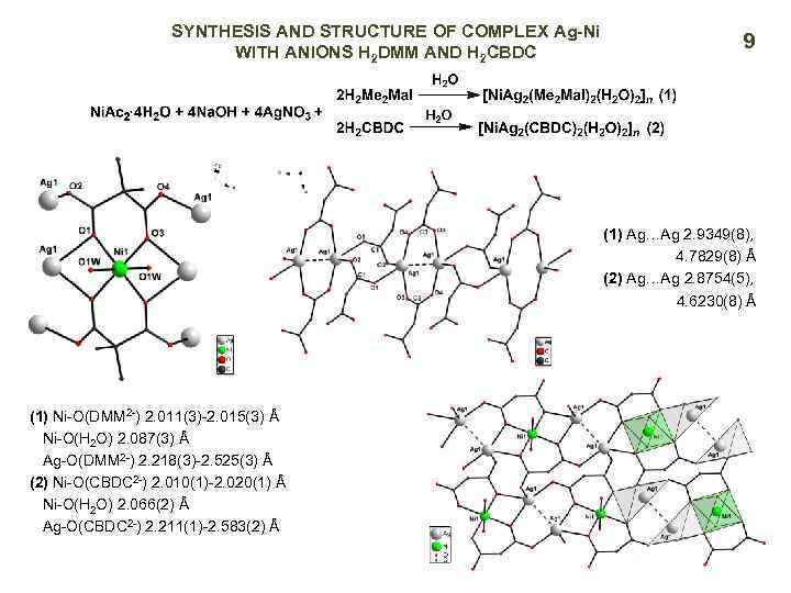 SYNTHESIS AND STRUCTURE OF COMPLEX Ag-Ni WITH ANIONS H 2 DMM AND H 2